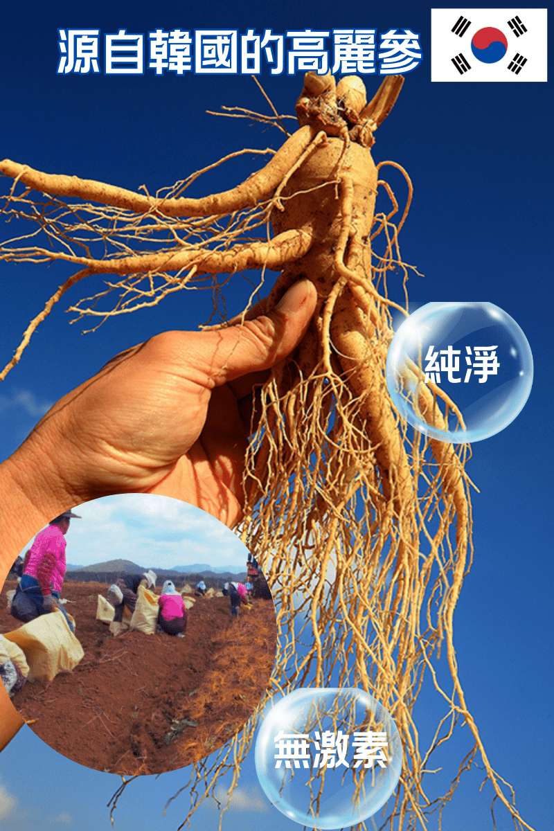 Fopiz 人參皂苷氣血丸|人參皂苷補氣 × 增活力護肝 × 天然氣血調理 × 抗氧化活力 × 全面提升健康