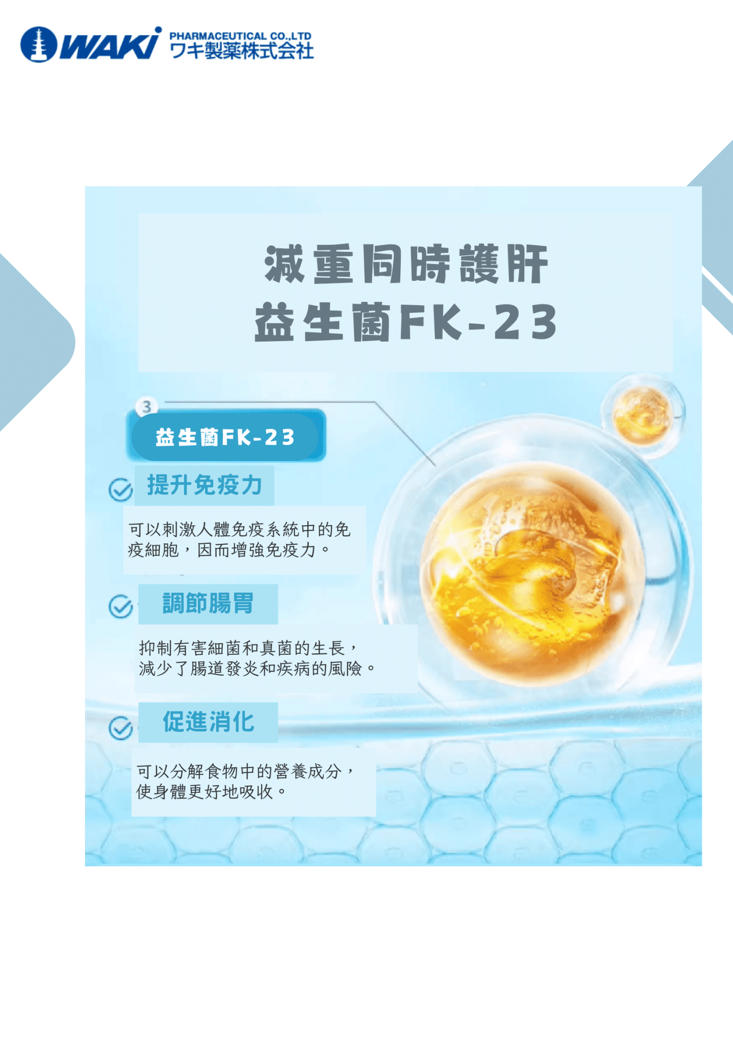 VATY 燃脂益生菌|益生菌ガルシニア × 狙擊小肚子 × 高效燃脂 × 改善腸道 × 健康瘦身新革命