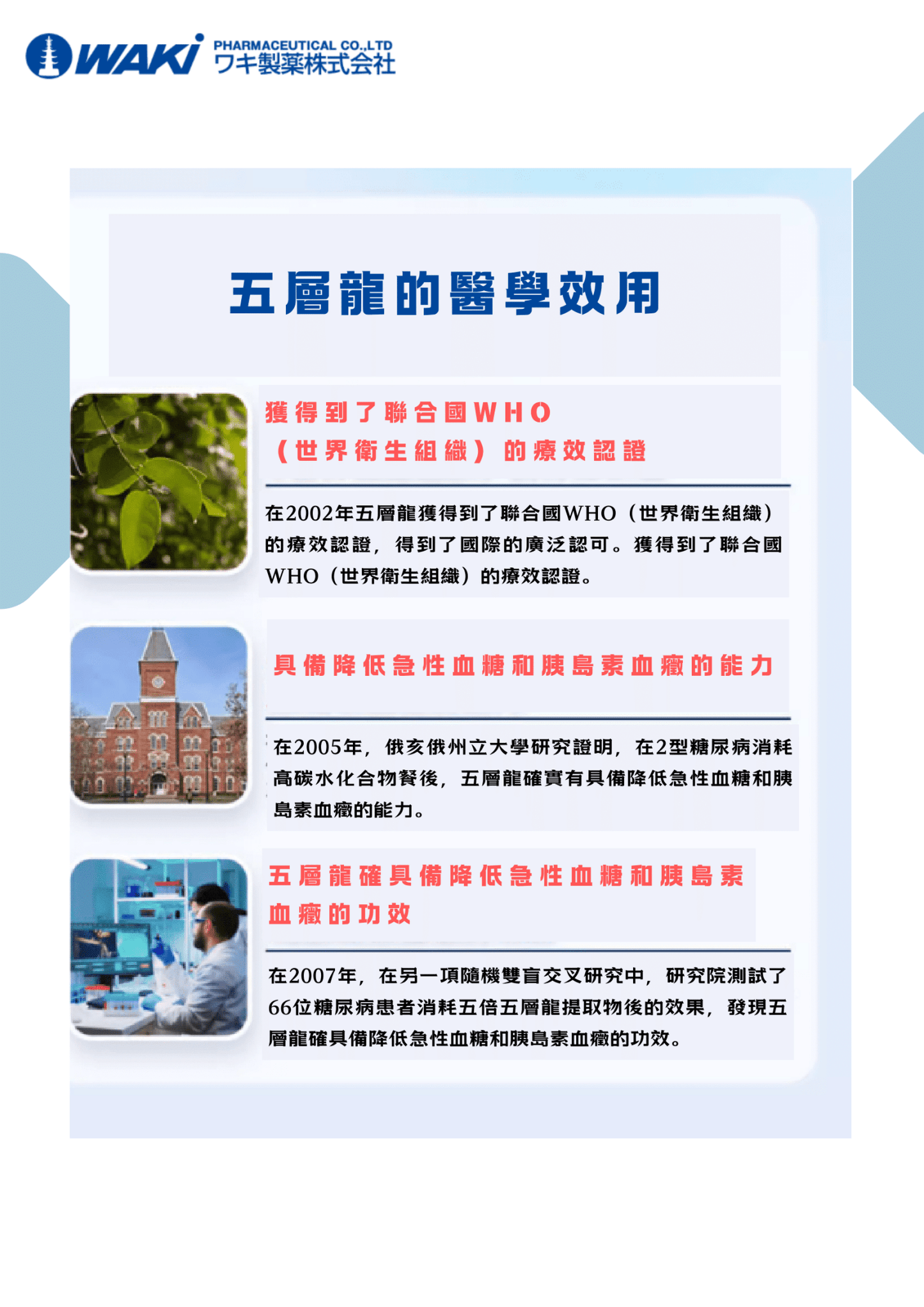 WAKi 五層龍屬サラシアエキス|抑糖 × 抑脂 × 減肥 × 調節血糖 × 腸道健康 × 全面代謝管理