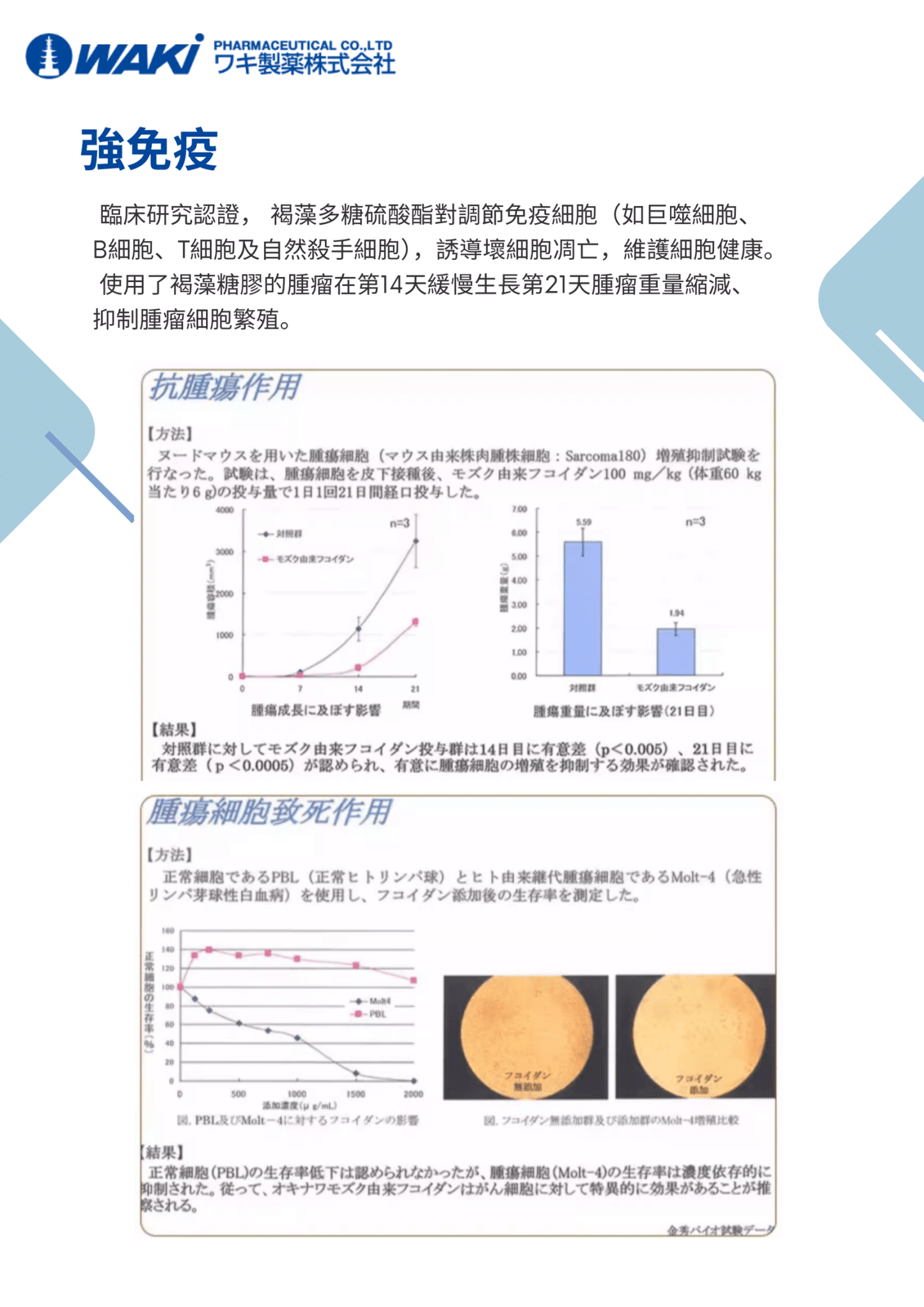 WAKi 沖繩水雲褐藻|提升免疫 × 抑制腫瘤 × 改善腎功能 × 保護胃腸 × 全面細胞健康守護