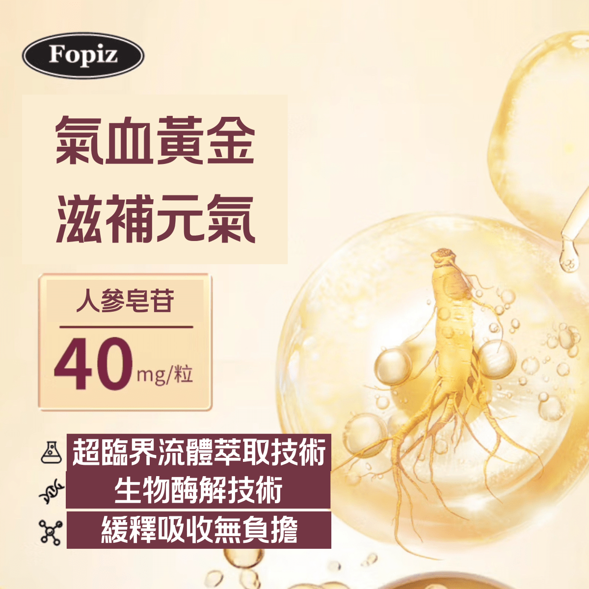 Fopiz 人參皂苷氣血丸｜人參皂苷補氣 × 增活力護肝 × 天然氣血調理 × 抗氧化活力 × 全面提升健康