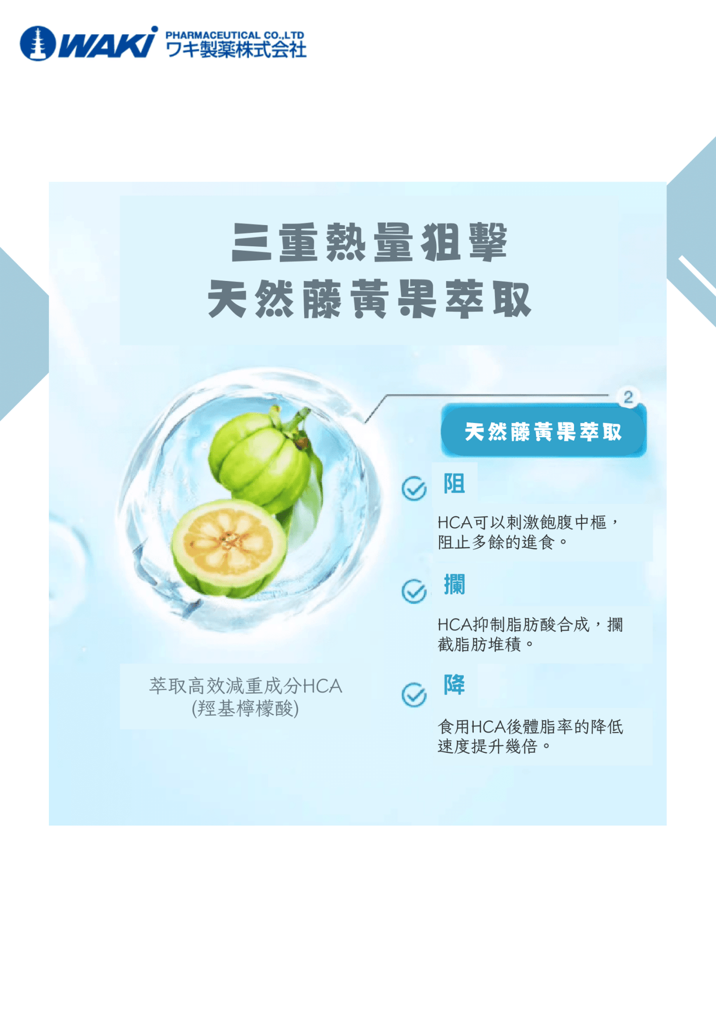 VATY 燃脂益生菌｜益生菌ガルシニア × 狙擊小肚子 × 高效燃脂 × 改善腸道 × 健康瘦身新革命