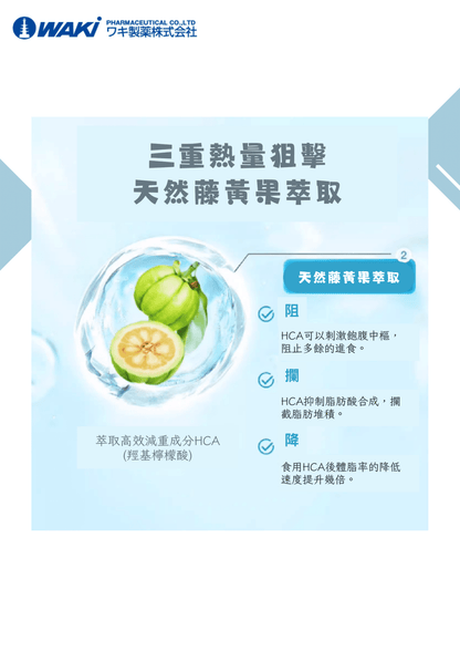 VATY 燃脂益生菌｜益生菌ガルシニア × 狙擊小肚子 × 高效燃脂 × 改善腸道 × 健康瘦身新革命