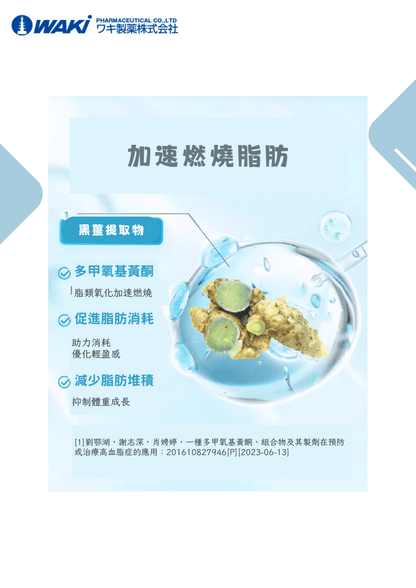 VATY 燃脂益生菌｜益生菌ガルシニア × 狙擊小肚子 × 高效燃脂 × 改善腸道 × 健康瘦身新革命