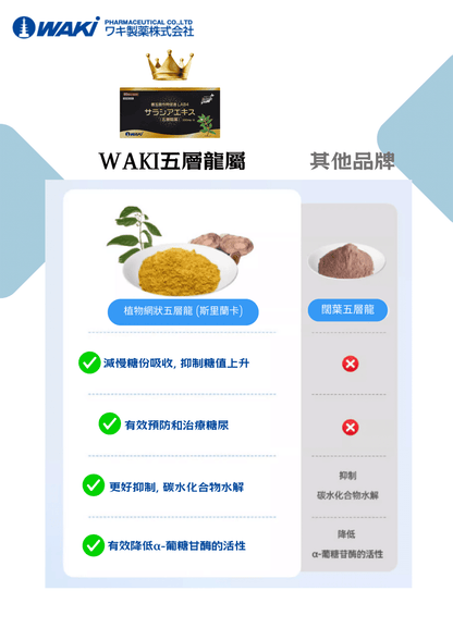 WAKi 五層龍屬サラシアエキス｜抑糖 × 抑脂 × 減肥 × 調節血糖 × 腸道健康 × 全面代謝管理